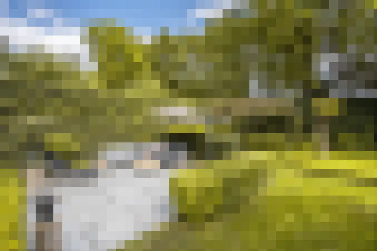 Lipsstraat 14 Drunen thumbnail 42