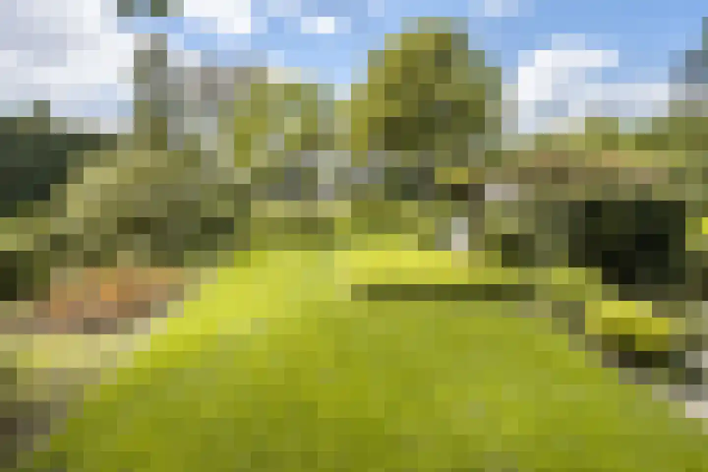 Lipsstraat 14 Drunen thumbnail 43