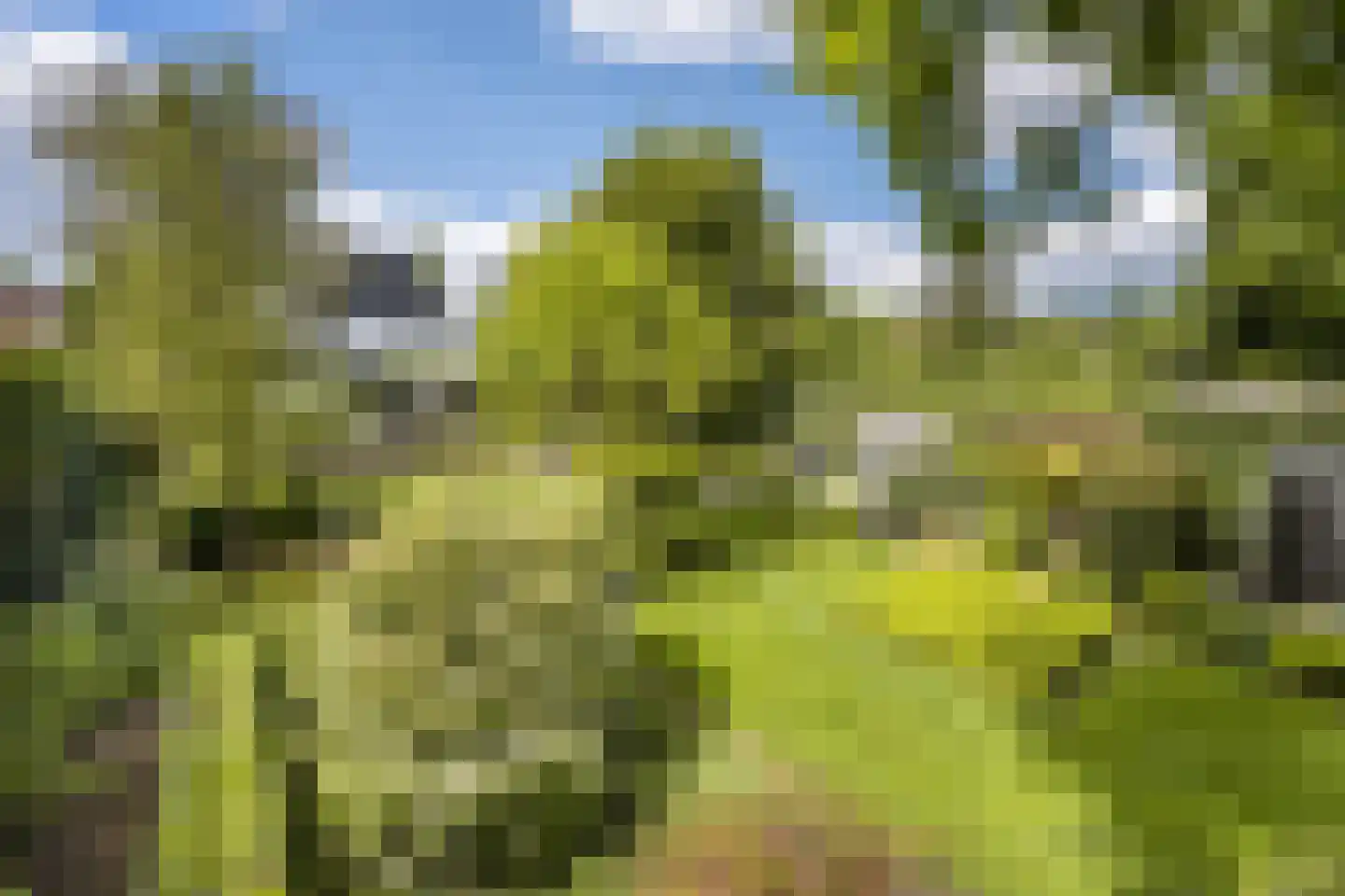 Lipsstraat 14 Drunen thumbnail 44