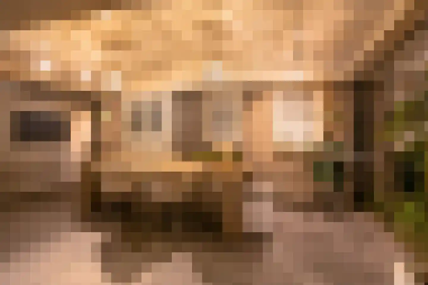 Lipsstraat 14 Drunen thumbnail 47