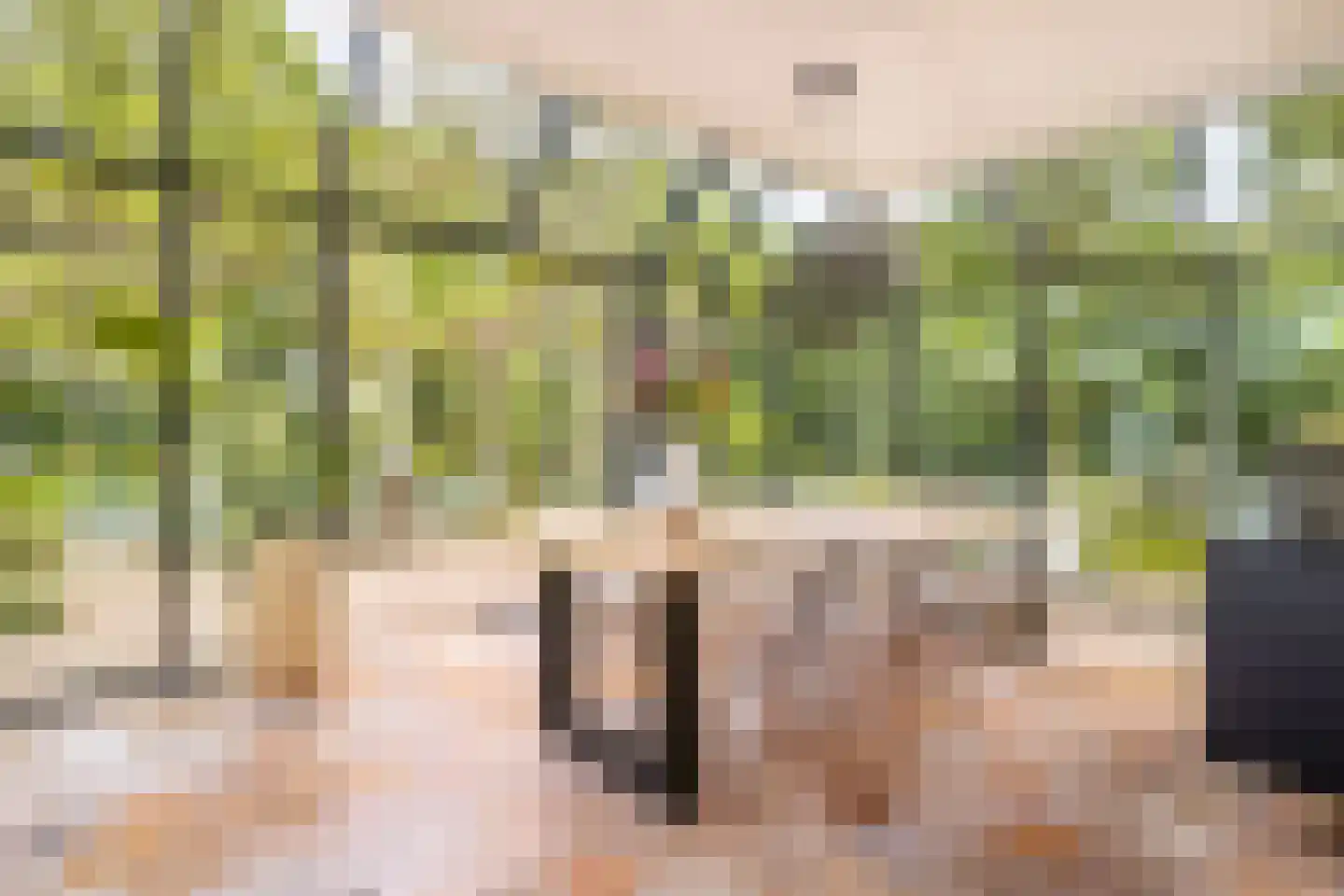Lipsstraat 14 Drunen thumbnail 6