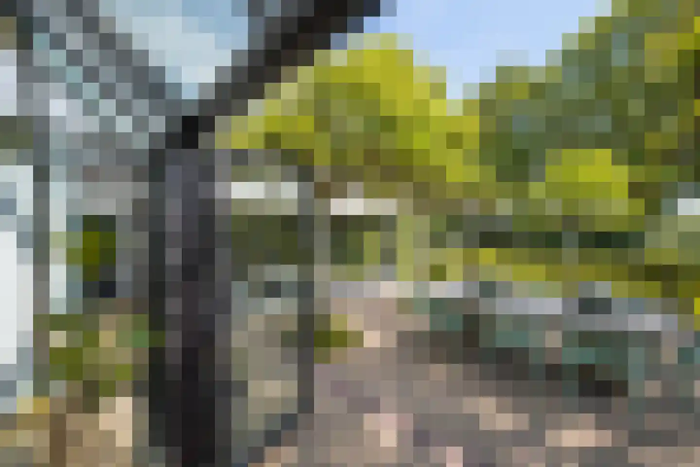 Lipsstraat 14 Drunen thumbnail 7