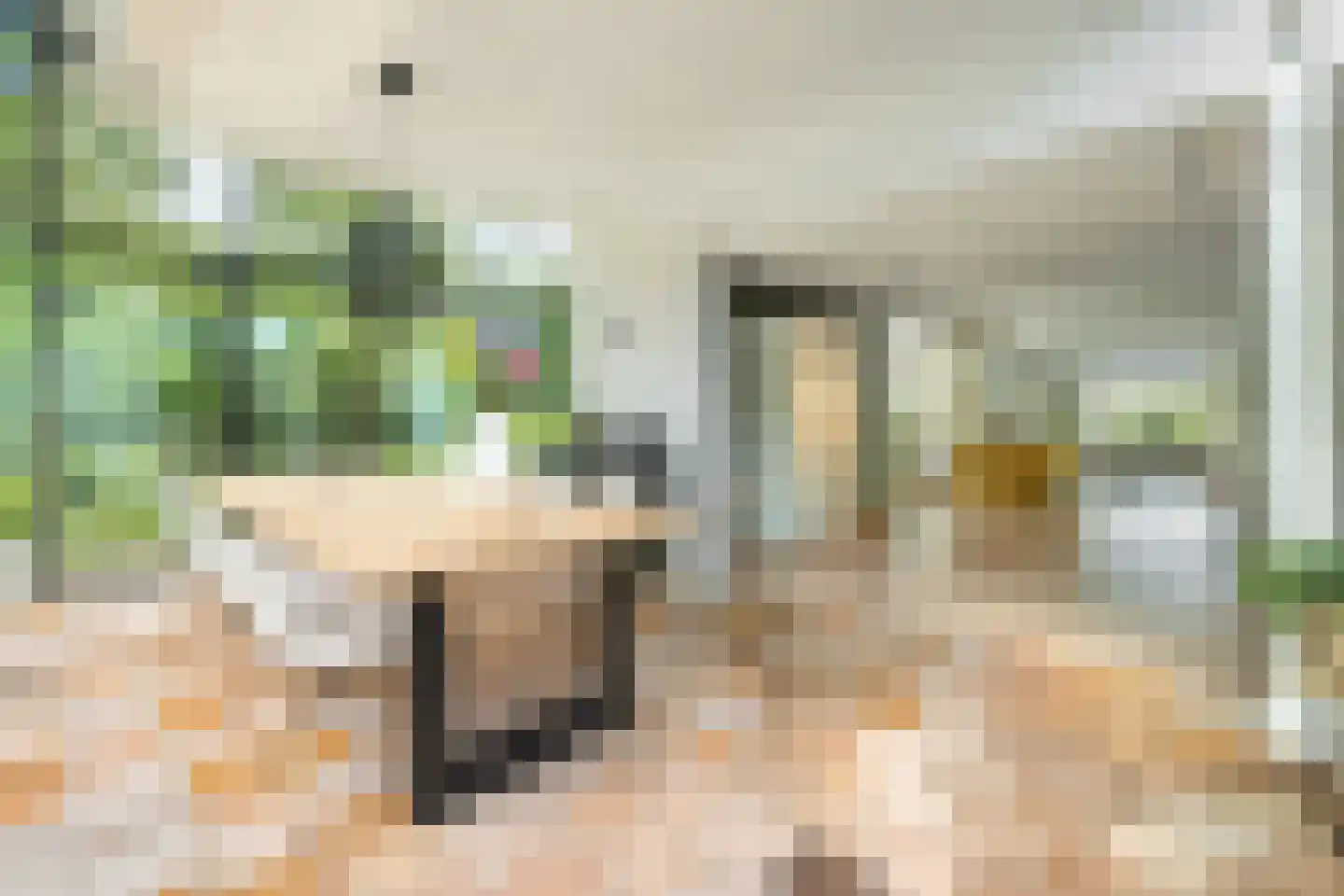 Lipsstraat 14 Drunen thumbnail 8