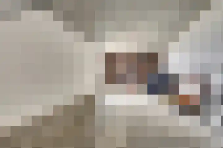 Lire 23 Dronten thumbnail 16