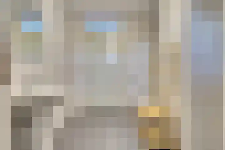 Lire 23 Dronten thumbnail 26