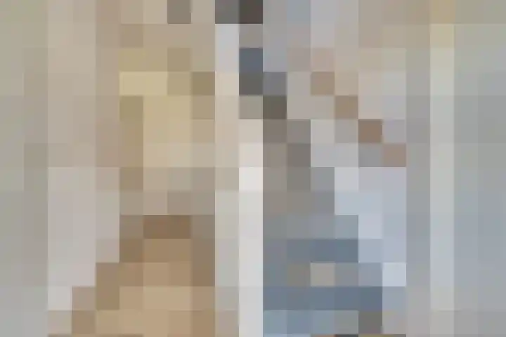 Lire 23 Dronten thumbnail 27