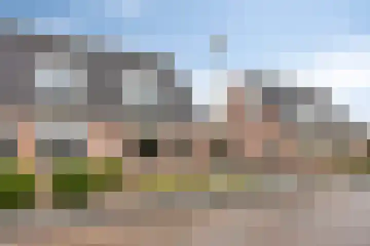 Lire 23 Dronten thumbnail 28