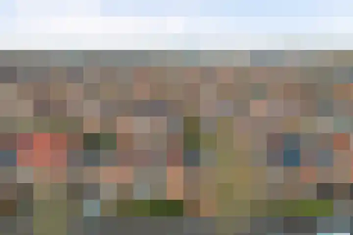 Lire 23 Dronten thumbnail 32