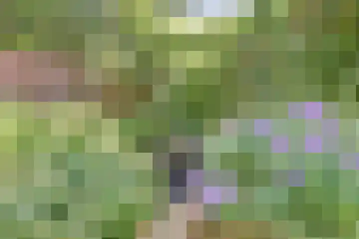 Lire 23 Dronten thumbnail 36
