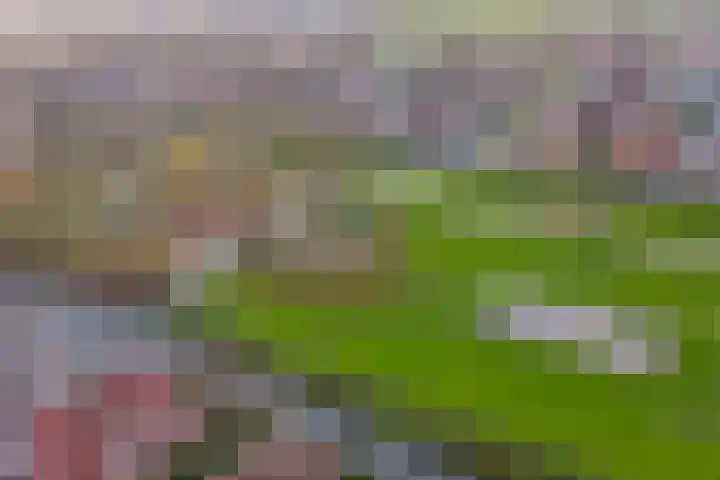 Lire 23 Dronten thumbnail 41