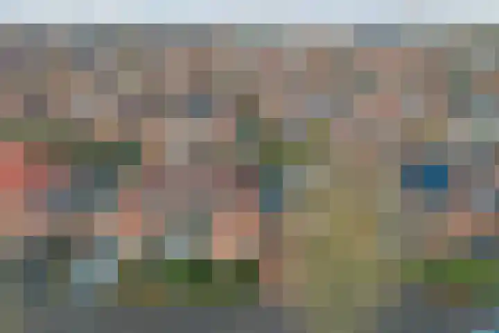 Lire 23 Dronten thumbnail 5