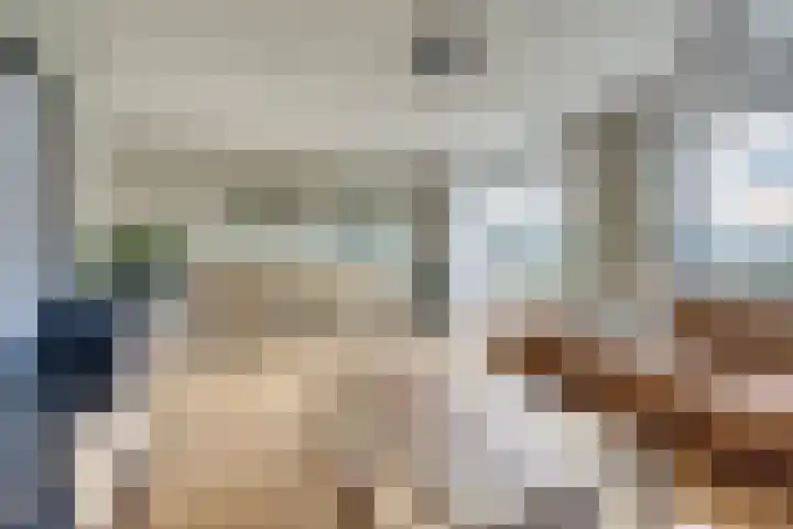 Lire 23 Dronten thumbnail 9