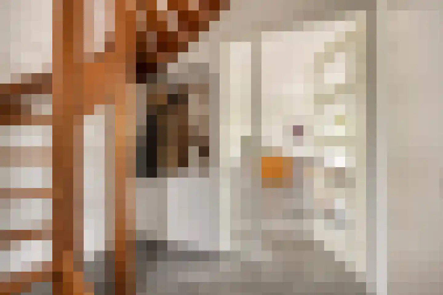 Lisa Dahmen - Ottenheijmstraat 18 Roermond thumbnail 12