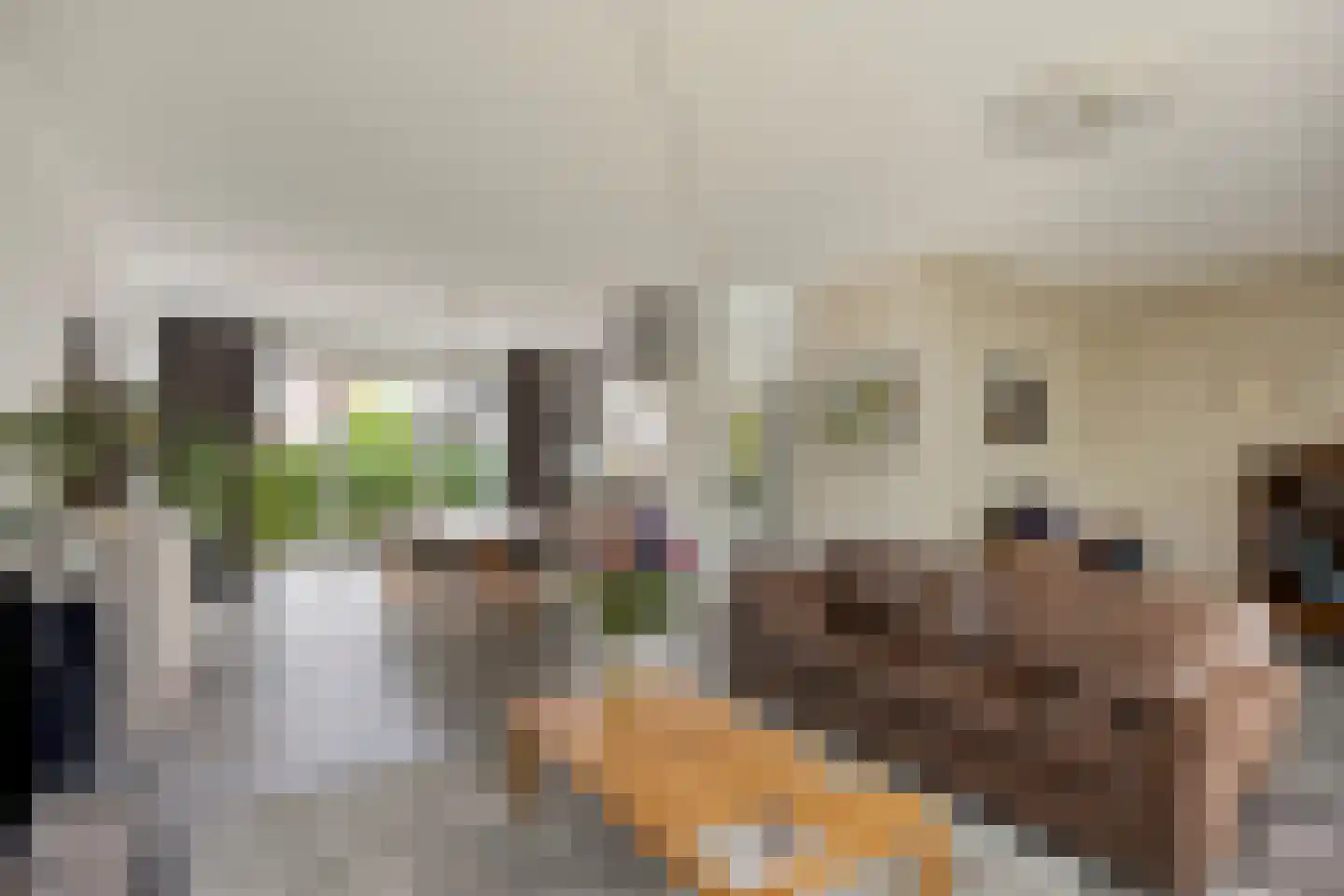 Lisa Dahmen - Ottenheijmstraat 18 Roermond thumbnail 6