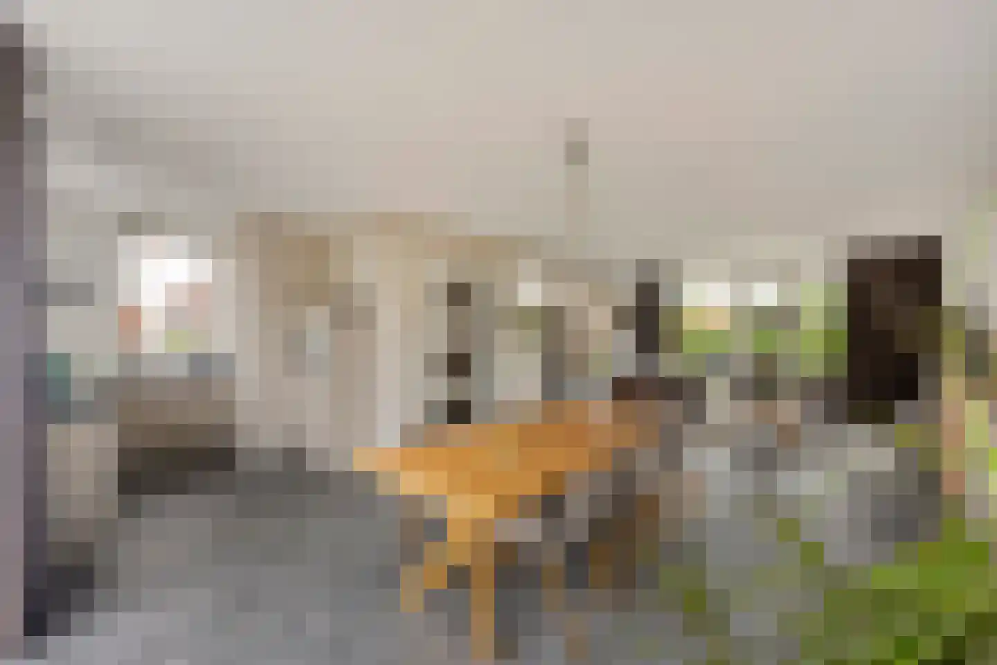 Lisa Dahmen - Ottenheijmstraat 18 Roermond thumbnail 8