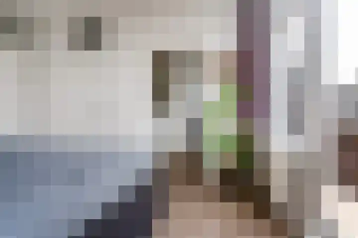 Lisbloemstraat 10 Rotterdam thumbnail 13