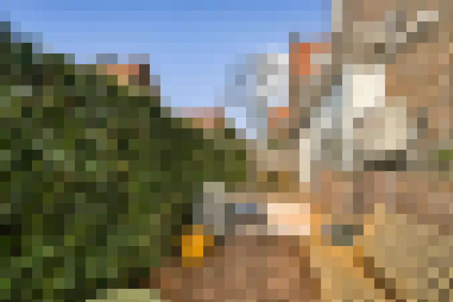 Lisbloemstraat 47 A Rotterdam thumbnail 22