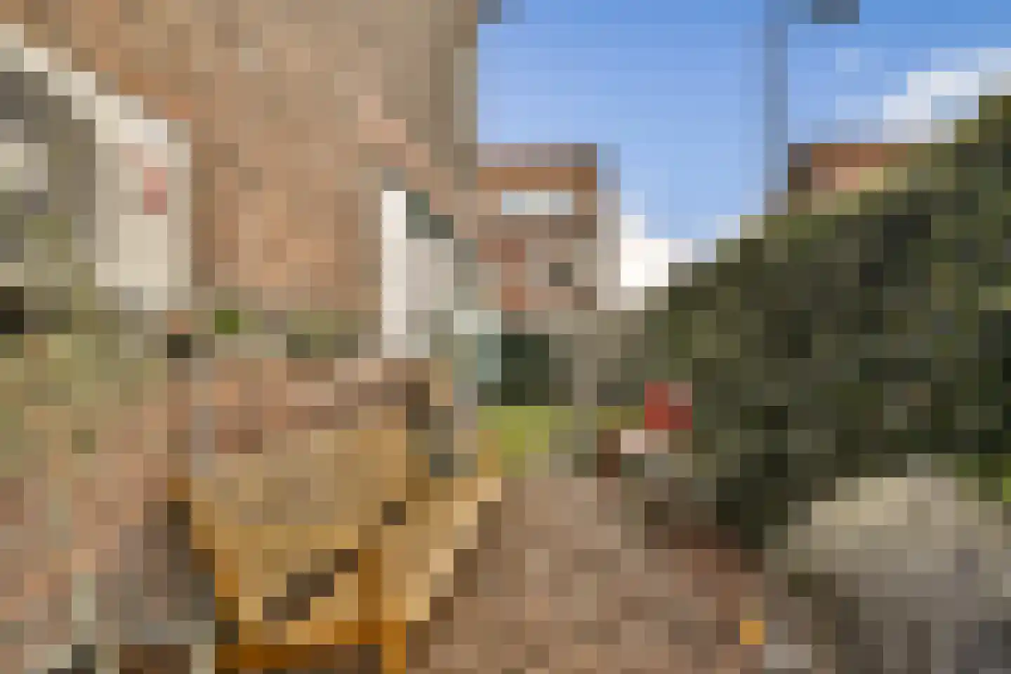 Lisbloemstraat 47 A Rotterdam thumbnail 24