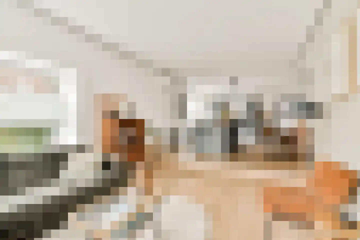 Lisbloemstraat 47 A Rotterdam thumbnail 8