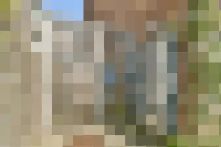 Lisbloemstraat 5 C Rotterdam thumbnail 22