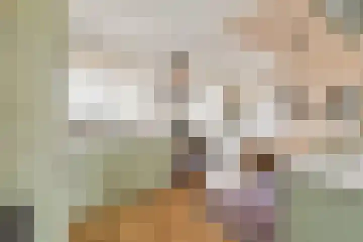 Lisbloemstraat 5 C Rotterdam thumbnail 8