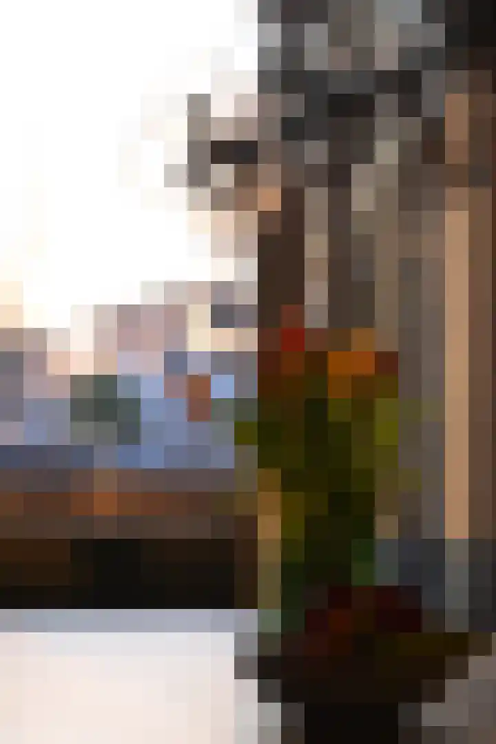Lisbloemstraat 60 B Rotterdam thumbnail 42
