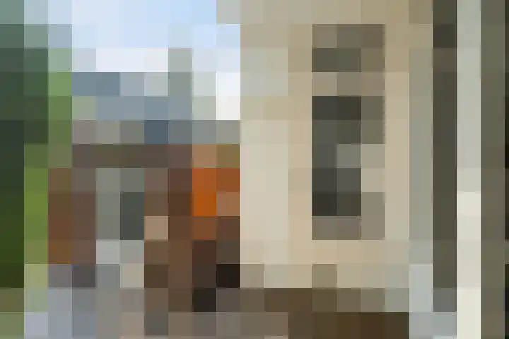 Lisbloemstraat 61 B Rotterdam thumbnail 13