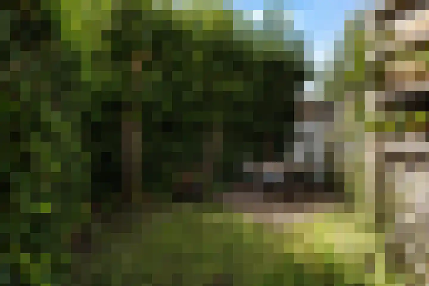 Lisbloemstraat 68 Rotterdam thumbnail 34