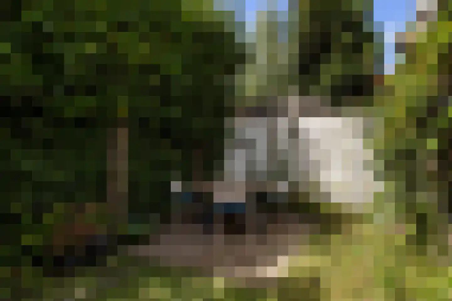 Lisbloemstraat 68 Rotterdam thumbnail 35