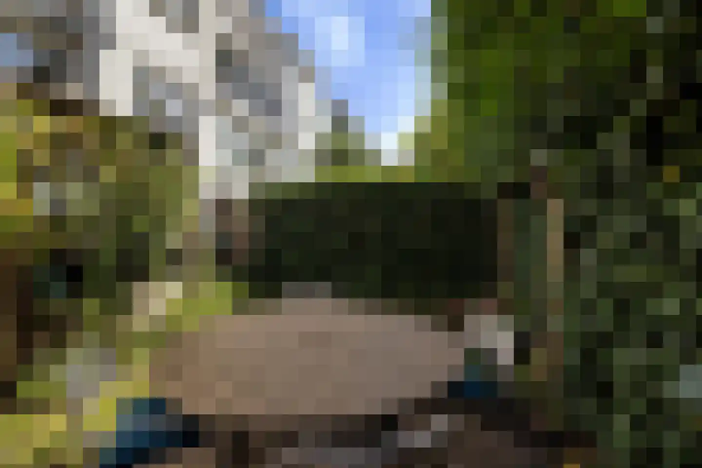 Lisbloemstraat 68 Rotterdam thumbnail 36