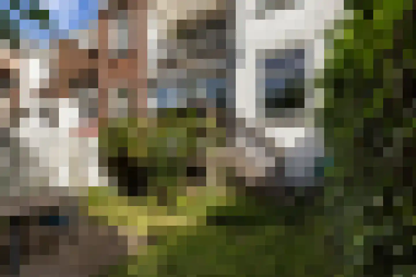 Lisbloemstraat 68 Rotterdam thumbnail 37