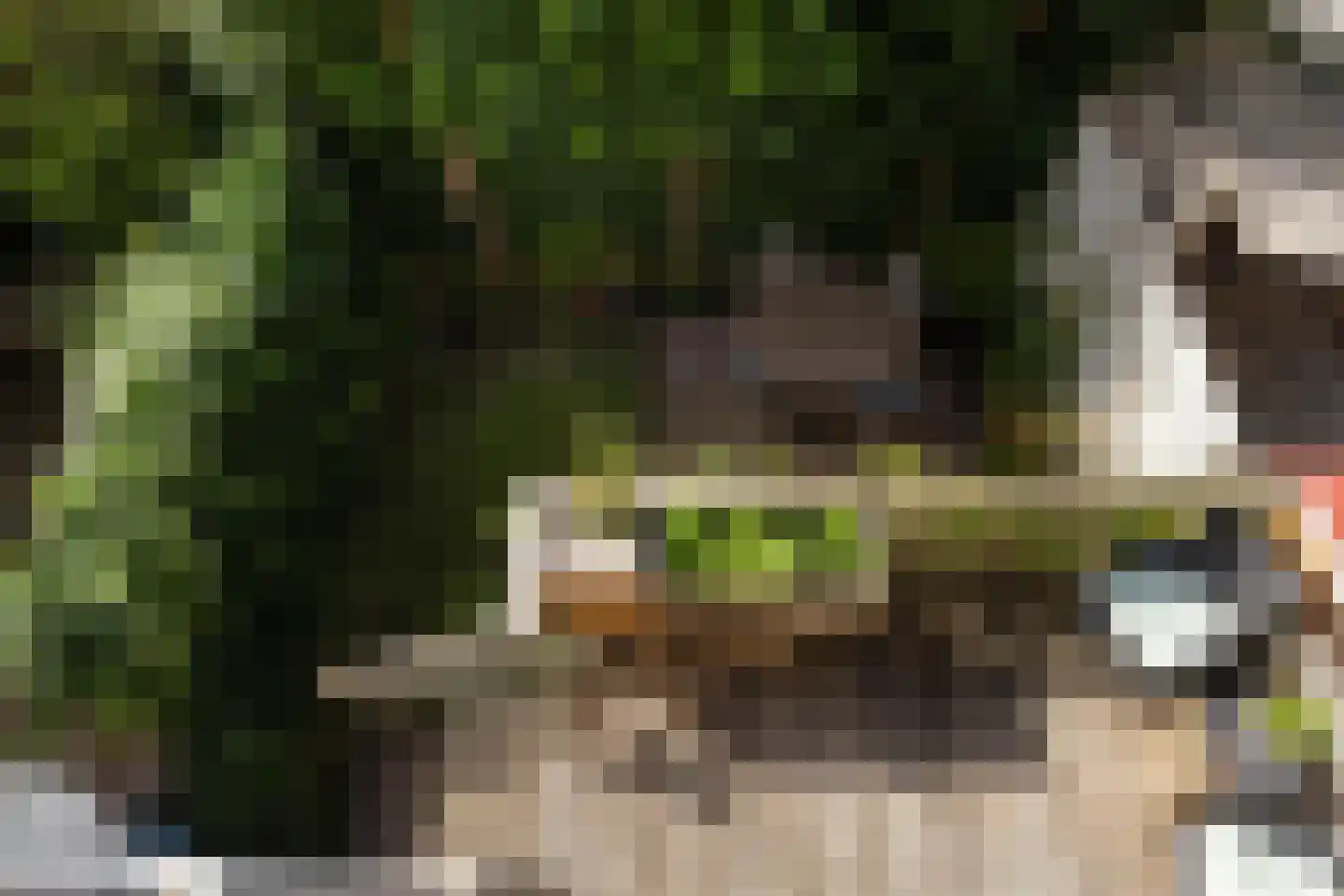 Lisbloemstraat 68 Rotterdam thumbnail 4