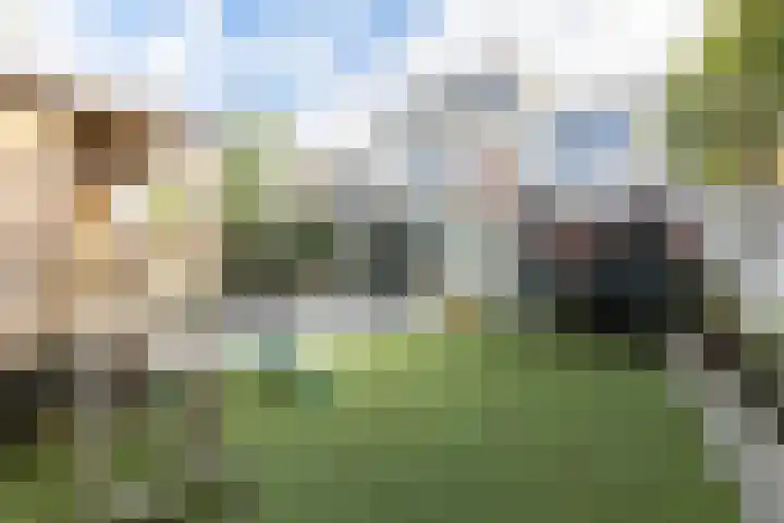 Lisboa 1 Wormer foto 2