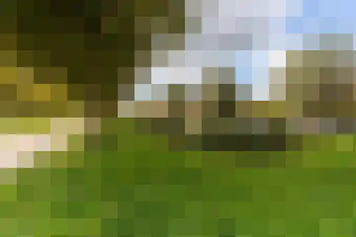 Lisboa 1 Wormer thumbnail 32