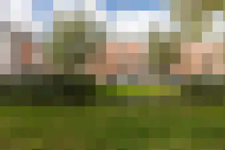 Lisboa 1 Wormer thumbnail 33