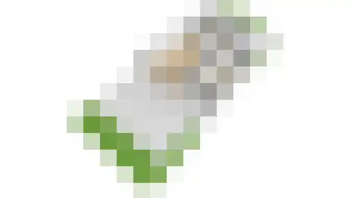 Lisboa 1 Wormer thumbnail 39