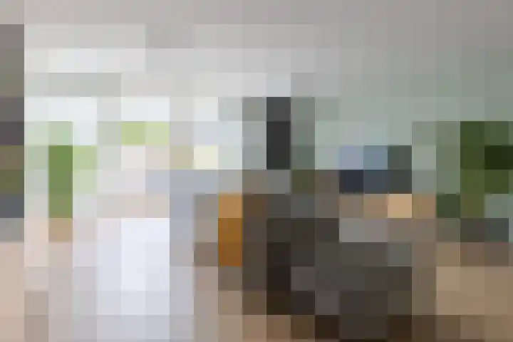 Lisboa 1 Wormer thumbnail 5