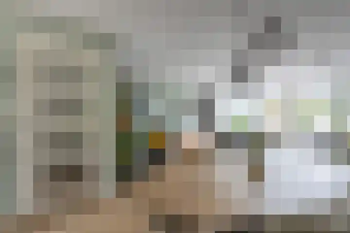 Lisboa 1 Wormer thumbnail 7