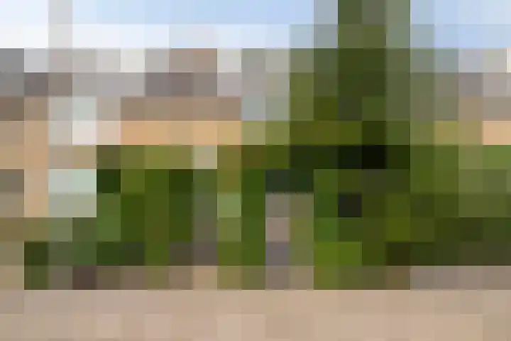 Lisboa 1 Wormer thumbnail 9