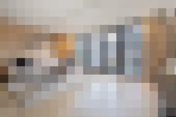 Lisboa 69 Wormer thumbnail 12