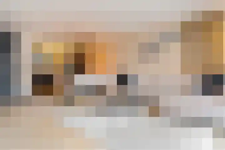 Lisboa 69 Wormer thumbnail 5