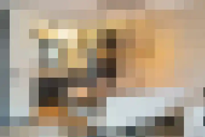 Lisboa 69 Wormer thumbnail 6