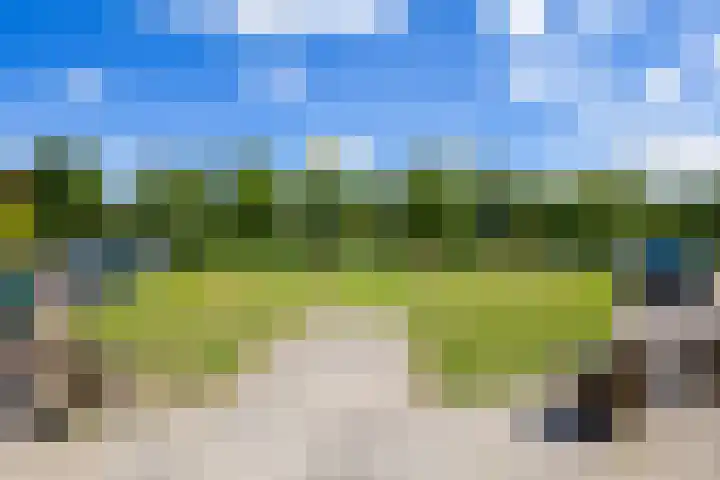 Lisboa 73 Wormer thumbnail 31