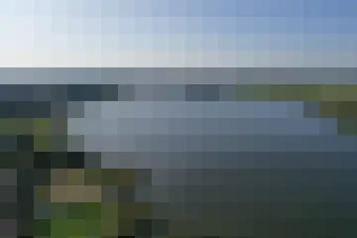 Lisboa 73 Wormer thumbnail 32