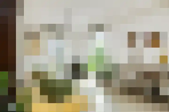 Lisdodde 1 Boxtel thumbnail 15