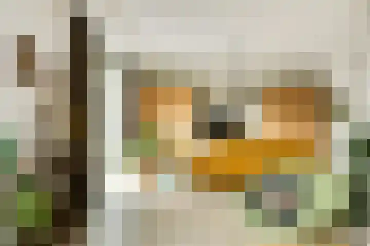 Lisdodde 1 Boxtel thumbnail 18
