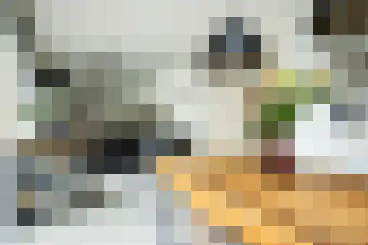 Lisdodde 1 Boxtel thumbnail 20