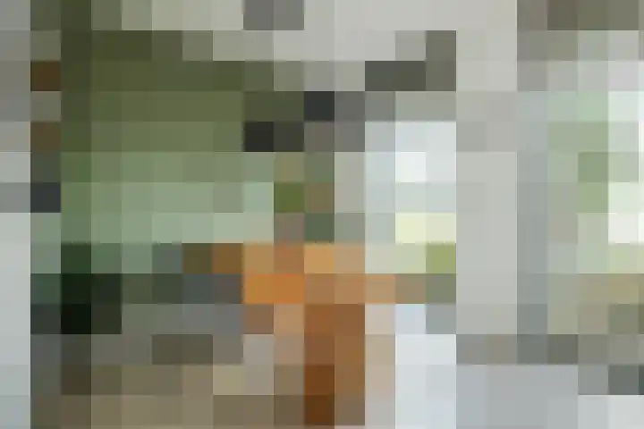 Lisdodde 1 Boxtel thumbnail 21