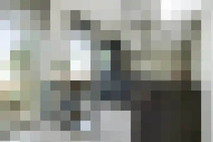 Lisdodde 1 Boxtel thumbnail 22