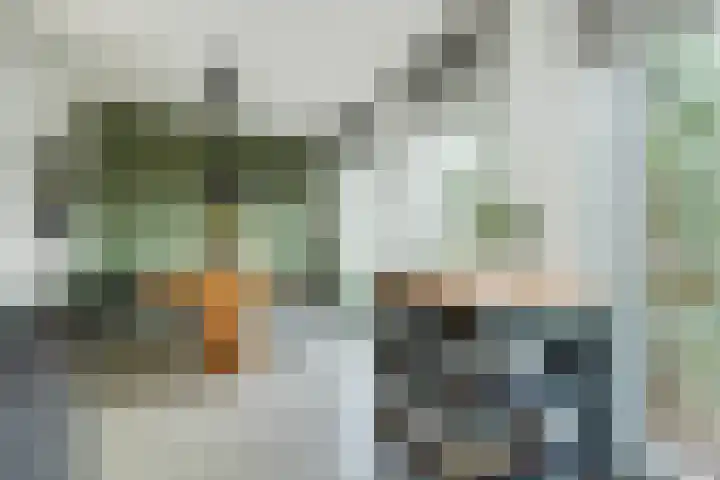 Lisdodde 1 Boxtel thumbnail 24